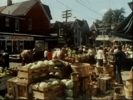 shopping toronto GIF by Archives of Ontario | Archives publiques de l'Ontario