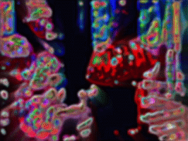 200.gif?cid=fc005b088646ebbd88943fd286b96e3625d73e6552d5da06&rid=200.gif&ct=g