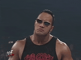 The Rock Wrestling GIF by WWE