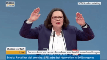 Andrea Nahles Spd GIF