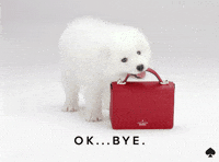Dog Bye Gifs Get The Best Gif On Giphy Dog Bye Gifs Get The Best Gif On Giphy
