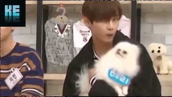 Bts V GIF