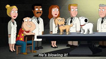 quagmire quahog GIF by Family Guy