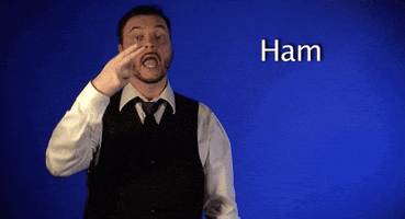 sign language ham GIF by Sign with Robert