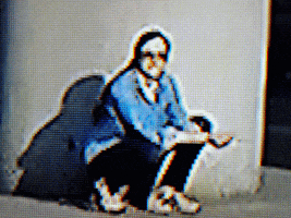 lanaranjaroja expo malba GIF