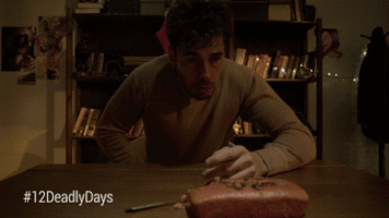 GIF by 12 Deadly Days