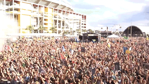 Insomniac Events edc insomniac edcorlando GIF