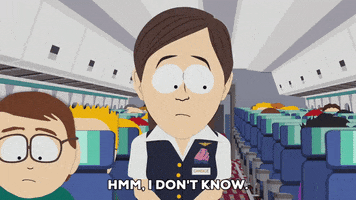 confused airplane GIF by South Park 