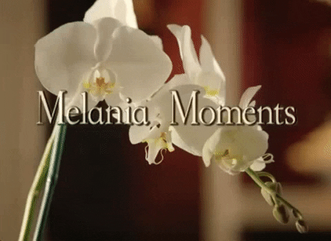 melania moments