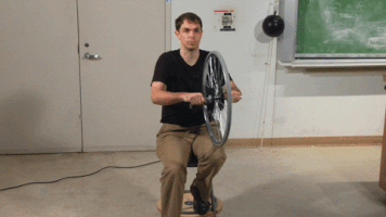 seansweat  GIF