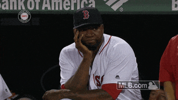 boston red sox wow GIF by MLB
