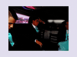 galindo #misxv #limocina #erandi GIF