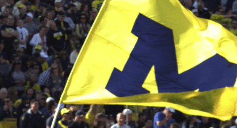 College Football GIF by Michigan Athletics
