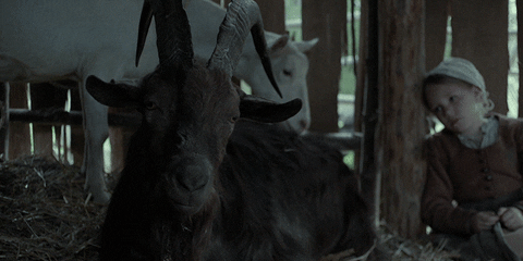 The Witch Horror GIF by A24 - Find & Share on GIPHY