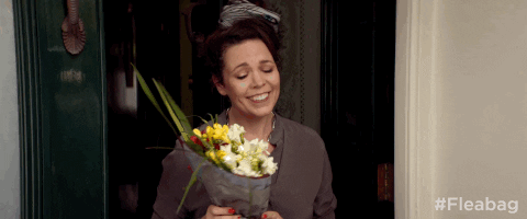 https://media0.giphy.com/media/3o7TKJYKvZFNP2B5HG/giphy.gif?cid=790b76115d15875150397672419f9b55&rid=giphy.gif