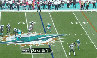 doxellis  GIF
