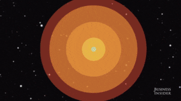 sundermier  GIF