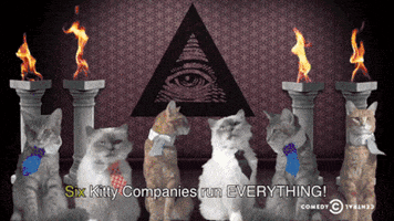 Cat Illuminati GIF