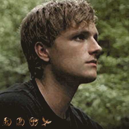 Morph The Hunger Games GIF by Lionsgate Home Entertainment - Find & Share on GIPHY