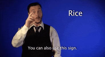 sign language rice GIF by Sign with Robert