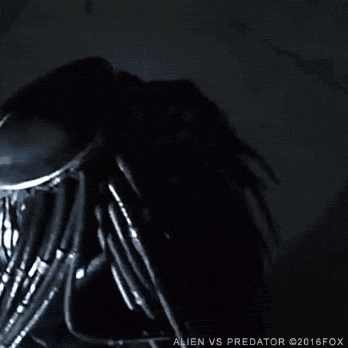 Alien Vs Predator GIF by foxhorror Find & Share on GIPHY