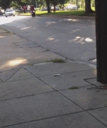 alextux lol fail humor daily GIF