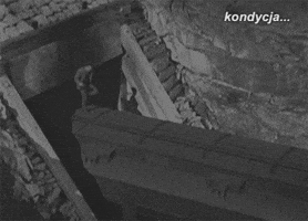 andrzejswietek  GIF