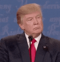 Donald Trump Ugh GIF by Election 2016