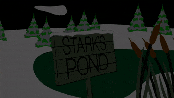 pond at night GIF by South Park 