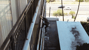 jump parkour GIF by CBS