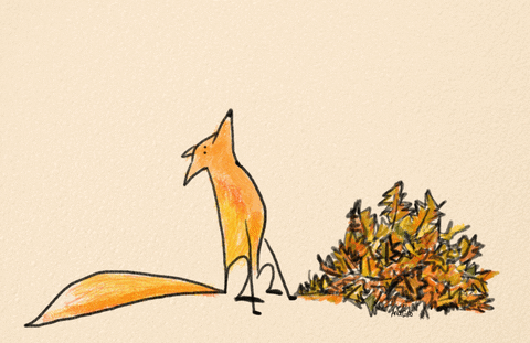 Its Fall Fox GIF by Ana Caro - Find & Share on GIPHY