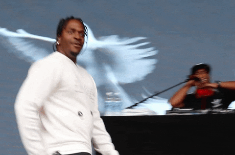 Pusha T That Look When GIF by The Meadows NYC - Find & Share on GIPHY