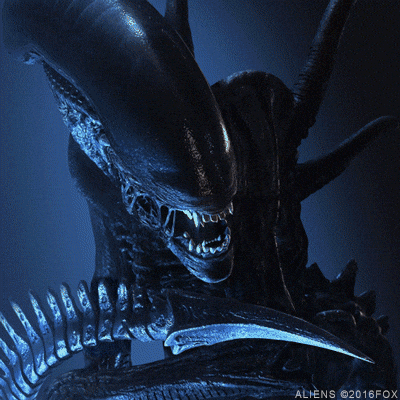 giphy.gif?cid=790b76117f7b5219e92a486a14