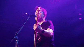Mark Hoppus Guitar GIF by blink-182