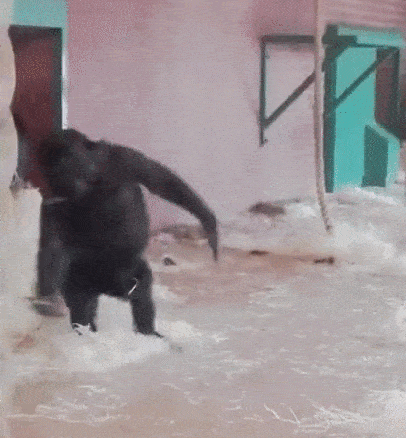 greenmangomore funny GIF
