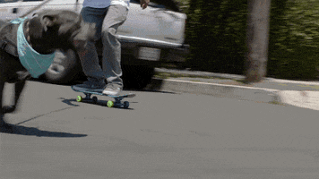 skateboarding cruising GIF by EchoBoom Sports