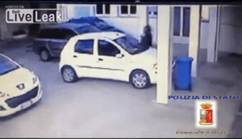 gifano  GIF