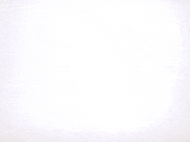 canalencuentro canal encuentro san martÃ­n san martÃƒÂ­n 17 de agosto GIF