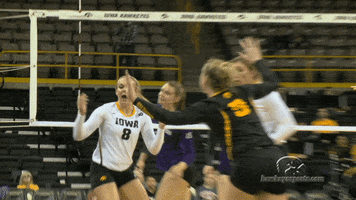 Iowa Hawkeyes Volleyball GIF by University of Iowa Hawkeyes Athletics
