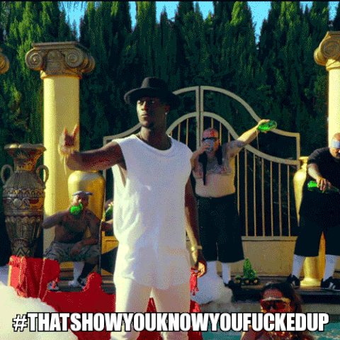 Thatshowyouknowyoufuckedup GIF by Nico & Vinz