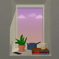 Stuck In Window Gifs Get The Best Gif On Giphy