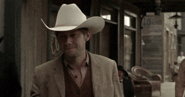 https://media0.giphy.com/media/3o7TKyqNi5CbAv7Z4s/200.gif