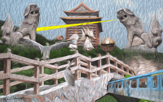 Collage Pelican GIF