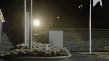 Skateboarding We Are Blood GIF by EchoBoom Sports