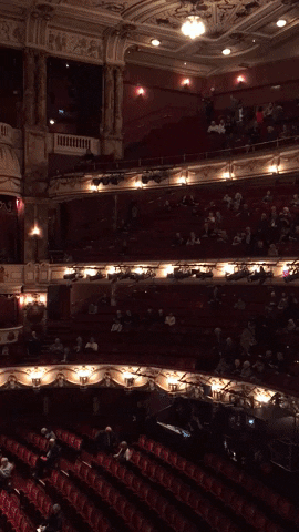 Christmas Theatre GIF by Rosie Brooks