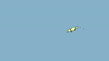 Platypus GIF