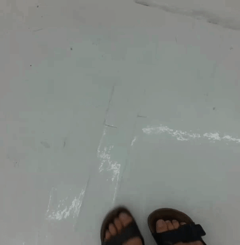 Miltos Manetas ÃEwpressionism GIF