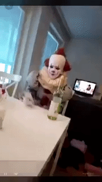 Palhaã§O Coisa GIF