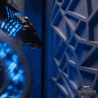 Black Panther Fighter GIF by Marvel Studios