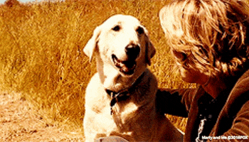 dog love GIF by 20th Century Fox Home Entertainment
